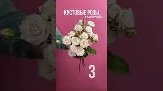 Прекрасные кустовые розы.