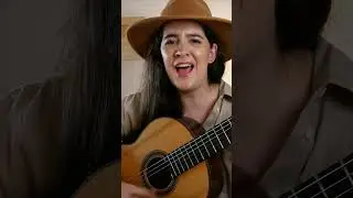 El Payador Perseguido