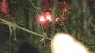 live misteri malam ini‼️MALA PETAKA‼️HADAPI Tangtangan Nenek siluman