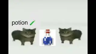 this is a potion