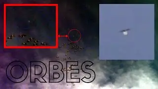 ORBES pasan mientras observamos unas aves