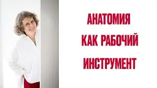 Анатомия, как рабочий инструмент