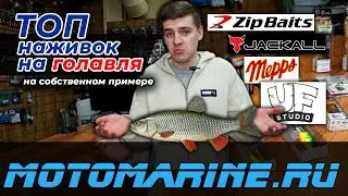 Ловим ГОЛОВЛЯ грамотно!