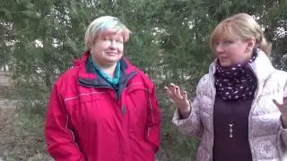 Интервью Алены Алексеевой с  Аленой Дмитриевой о счастье...