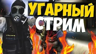 стрим по кс го и по варфэйс