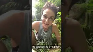 Психология ЖЕРТВЫ