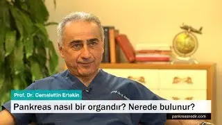 Pankreas nasıl bir ograndır nerede bulunur?