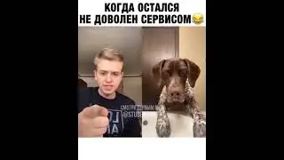 Мемес