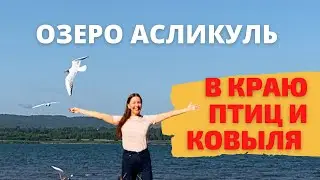 Озеро Асликуль | Аслыкуль | Природный парк | Путешествия по Башкирии | Где купаться в Уфе летом