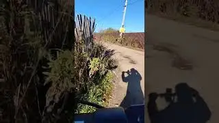 Покатушки на электросамокате на даче!! По плохим дорогам.
