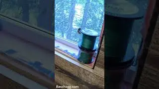 Terrifying Huge Hornet Invades the Shed! #basshogg #insects #hornet #terrifying #scary #raid #funny