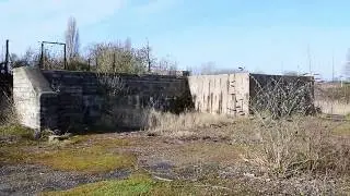 Abandoned Yard