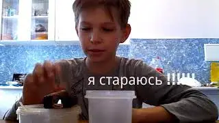 Пробуем пастилу с мёдом и орехами!!!