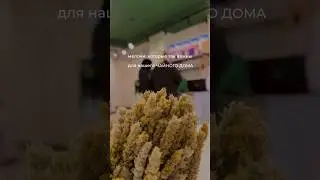 Ценим каждого нашего клиента и гостя ❤️ 