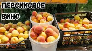 Персиковое Вино ( Сульфитация, Дробление, ЧКД ). Часть1.