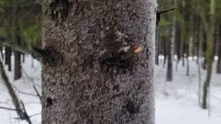 занимательная физика