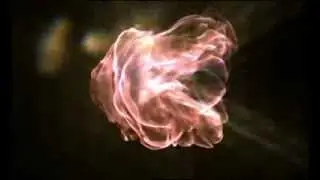 Enigma - The Same Parents