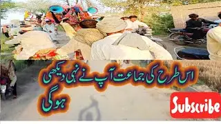 Es Tarah ki Jamaat Aap Nay Kabhi Dekhi Nahi Hogi