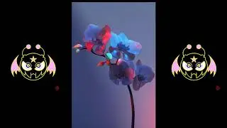 SEBii Type Beat FREE (prod. Soulking x akumaji )