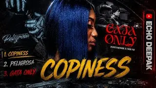 Copiness X Peligrosa X Gata only [Dj Mashup] | Echo Deepak