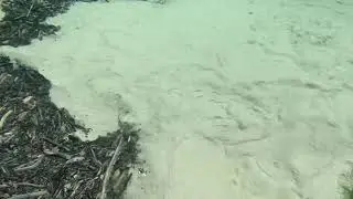Источник