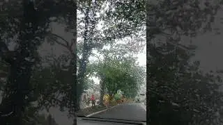 #slippery