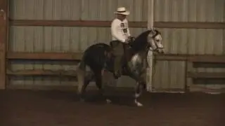 Muneca de Zorro Rojo