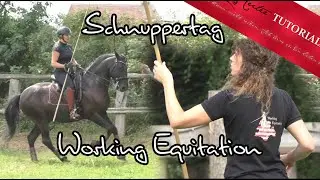 unser 2. Working Equitation Schnuppertag , wir nehmen dich mit! / Reitertutorials