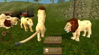 Wild Lion Simulator 🦁 #5 | Jungle Animal Gameplay | Lion Game | Hannu Games