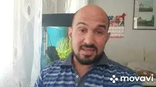 ТАТАРСТАНСКИЕ ЧИНУШИ ГРАБЯТ  ДЕТЕЙ, И СТАРИКОВ ТАТАРСТАНА , ПОЗОРИЩЕ.