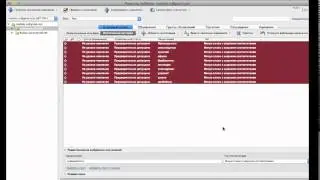 Минус слова Adwords Editor