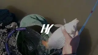 Рыбалка на сазана.Сентябрь 2021