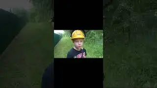 Типичный боссфайт с Плантерой Terraria 