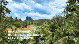 Lanzamiento Motores Estacionarios EHC 605.0 S y 705.0 S | STIHL