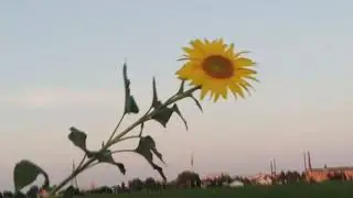 5 фраз, которые принесут благополучие в вашу жизнь