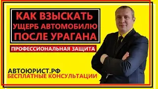 Как взыскать ущерб автомобилю после урагана