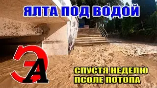 Yalta. Eight days after the flood. I know where the crocodiles are in Yalta!
