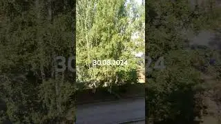 площадка 30.08.2024