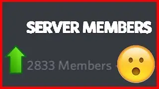 Top 5 Ways To Get Members On Your Discord Server