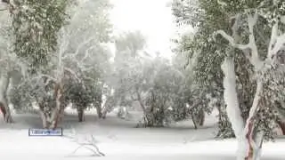 Paul Mauriat - Tombe La Neige... 