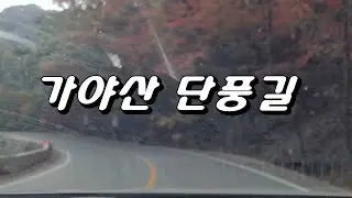 가야산해인사 단풍 드라이브 SouthKorea Maple Drive