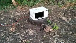 Что будет если Колу засунуть в микроволновку!