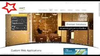 Soliant Business Consultant