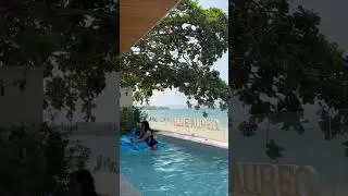 DOLPHIN RIDE IN AUREO LA UNION PHILIPPINES