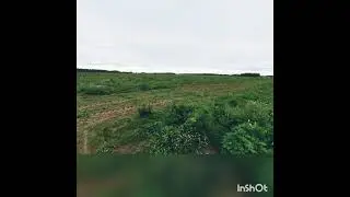 Опрыскивание глифосатом. Засоренность полей. Бочка мжу. Трактор Джон Дир.  Поля на будущей год.
