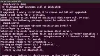 Setting Up and Configuring a DHCP Server in Ubuntu 10.10 Maverick Meerkat - Part 1