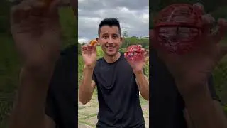 TESTEI A BOLA VOADORA BOOMERANG!! 