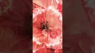 зачем ты так со мной поступаешь я же твой ручной поросеночек