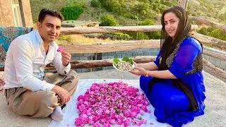 A Day from Morning to Evening in the Village of Kurdistan | Kurdish Lifestyle