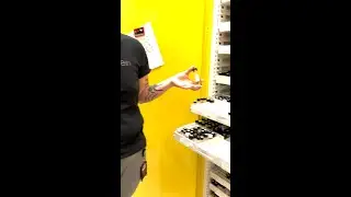 How we maintain and preserve our camel spider collection